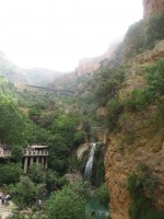 /album/photo-gallery-tlemcen/safsaf-jpg/